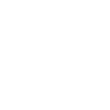 stussy white logo