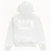 Box Crown Stussy Zip Up Hoodie Ash Heather